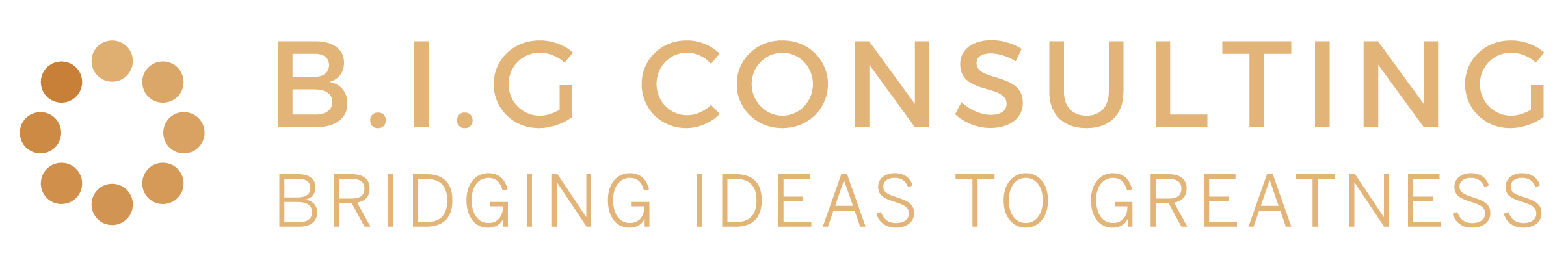 B.I.G Consulting